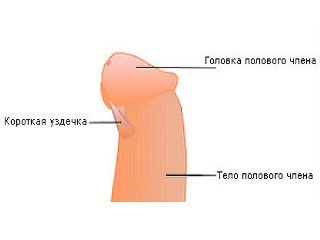 Frenulotomy