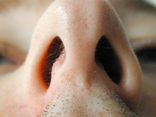 Curved nasal septum